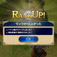 戦闘行って経験値上げてもRank上がる気配ないんだけど、Rankってどうやって上げるんだ？？